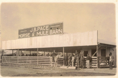 Postcard - J.B. Pace Horse & Mule Barn very early 1900's