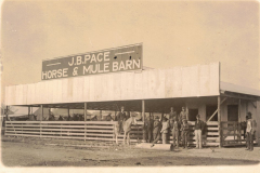 Postcard - J.B. Pace Horse & Mule Barn very early 1900's