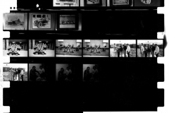Contact sheet of photos from Rowlett