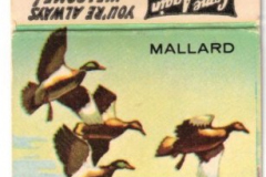 Matchbook - Cannon Dept. Store