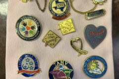 Sara James' Memorial Hospital Auxiliary pins