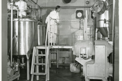 Salad Processing Department