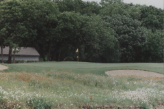 Firewheel Golf Course, exisitng hole #3, Lakes Course.