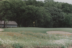 Firewheel Golf Course, exisitng hole #3, Lakes Course.