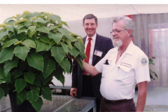 Two men admiring Large Poinsettia plant