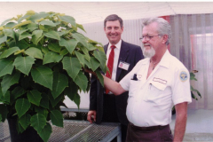 Two men admiring Large Poinsettia plant