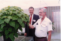 Two men admiring Large Poinsettia plant