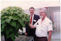 Two men admiring Large Poinsettia plant