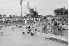 Holford pool and swimmers 1971