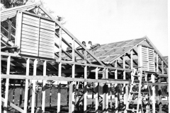 City Greenhouse under construction, circa 1969-1971