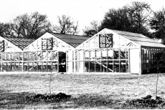 City Greenhouse under construction, circa 1969-1971