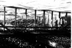 City Greenhouse plants, circa 1969-1971