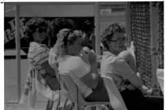 Spectators at Carter Softball Complex at Audubon Park