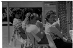 Spectators at Carter Softball Complex at Audubon Park