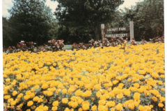 Lou Huff Park