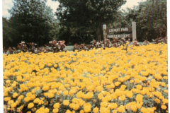 Lou Huff Park