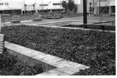 Downtown Square looking Northeast