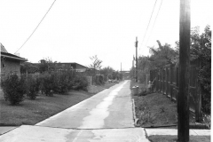 Alley on Goldfinch between Tanager & Phoebe looking north 11/5/1964