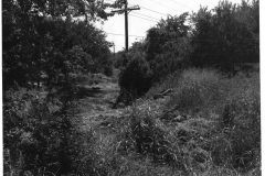 Clearing for 60 inch storm sewer looking north towards East Garland Avenue from Avenue D