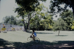 Bicycles at Pecan Grove, June 1980