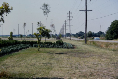 Holford Park - West side of the park looking south. Flowerbeds with hedges and bllue flowers.