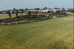 Lottie Watson Park 1100 N. Yale Drive - Flowerbeds with houses in background, 1973