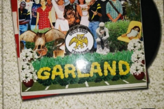 Garland High School 2009 Yearbook The Owls Nest
