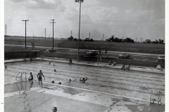 Lon Wynne/ Pecan Grove/ Holford