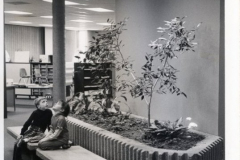 Nicholson Memorial Library- Central library. 625 Austin St. - opened 1970