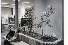 Nicholson Memorial Library- Central library. 625 Austin St. - opened 1970