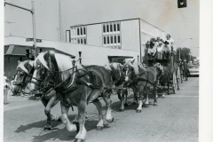 Parade photo of a horse-drawn stagecoach