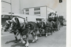 Parade photo of a horse-drawn stagecoach