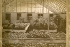 Original Greenhouse located where Rowlett Creek Treatment Plant now stands.