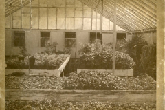 Original Greenhouse located where Rowlett Creek Treatment Plant now stands.