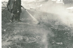 Grass Fire
