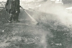 Grass Fire