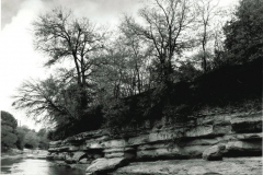 Spring Creek Forest Preserve