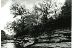 Spring Creek Forest Preserve