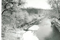Spring Creek Forest Preserve