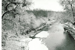 Spring Creek Forest Preserve