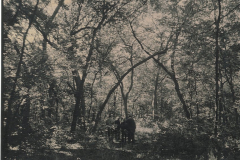 Spring Creek Forest Preserve