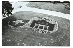 Sesquicentennial Flower Arrangement