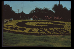 "Big G" landscaped flower bed