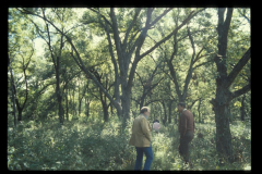 Spring Creek Forest Preserve, unidentified people