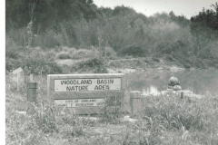 Woodland Basin Nature Area, Rowlett Creek