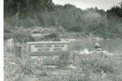 Woodland Basin Nature Area, Rowlett Creek