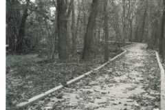 Boardwalk, Woodland Basin Nature Area, Rowlett Creek