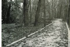 Boardwalk, Woodland Basin Nature Area, Rowlett Creek