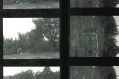 Boardwalk, Woodland Basin Nature Area, Rowlett Creek