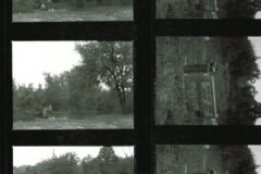 Boardwalk, Woodland Basin Nature Area, Rowlett Creek